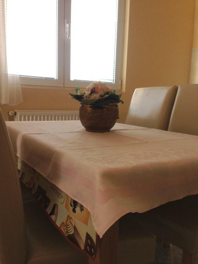 Sunny Apartment Jukic With Sea View زادار المظهر الخارجي الصورة